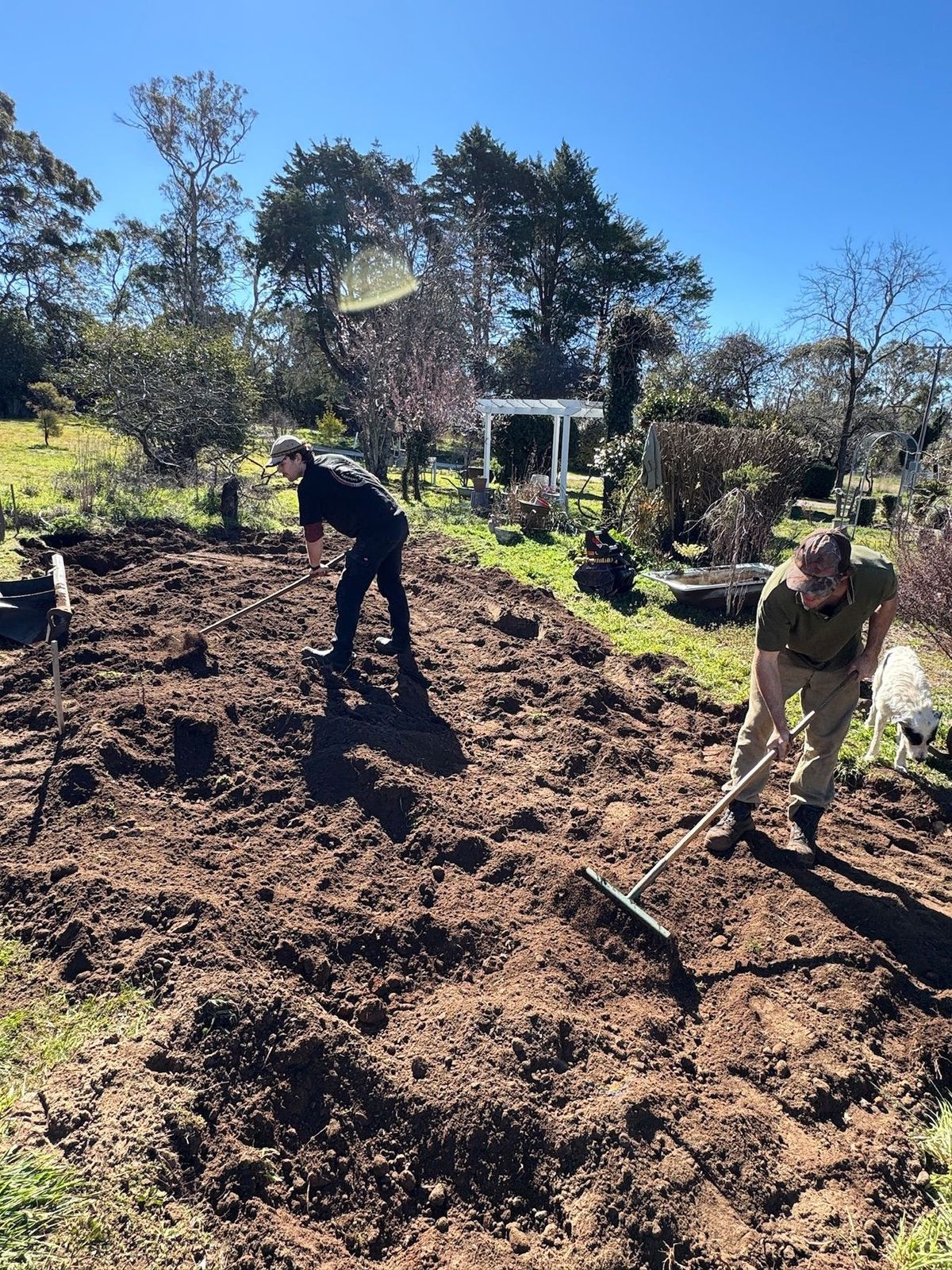 Finley and George levelling soil for new garden beds.