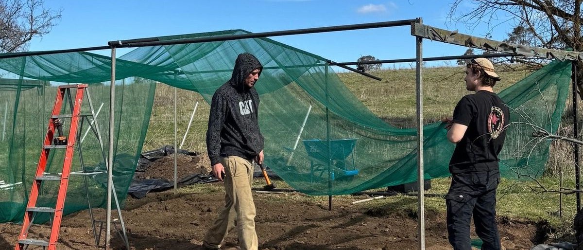 A netted garden enclosure being built over new beds, Finley and George inside.
