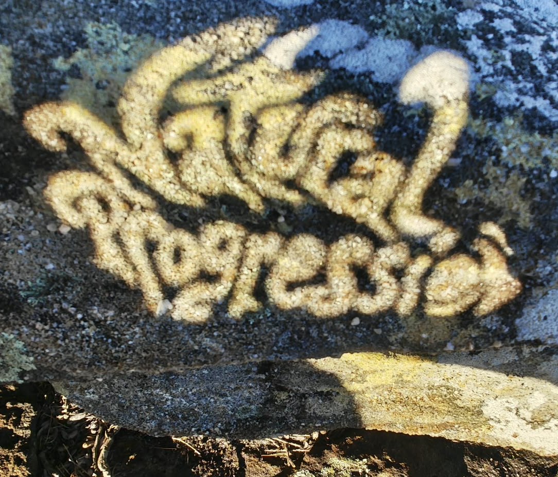 The Natural Progression name, stencilled onto a lichen-covered sandstone rock.